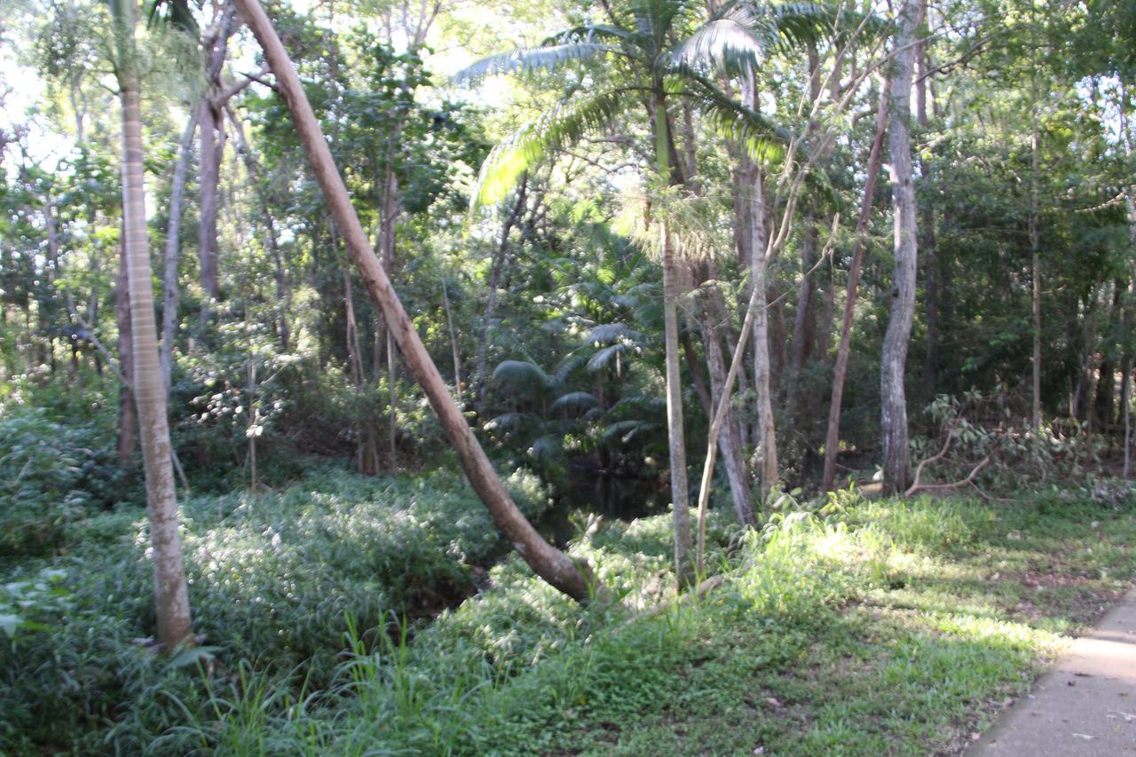 Paperbark Bed & Breakfast Brisbane Exterior foto